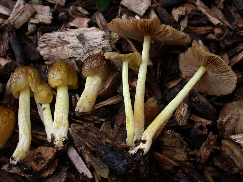 Pi� di cosi... QUIZ